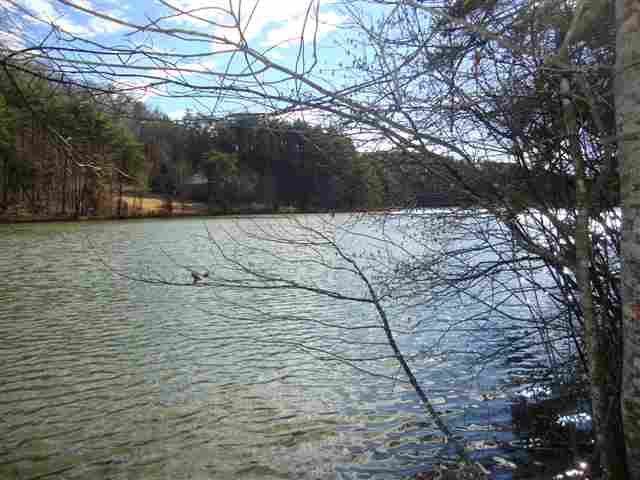 0 Springlake Road Six Mile, SC 29682 - Photo 15 of 22 Gallery Image 15