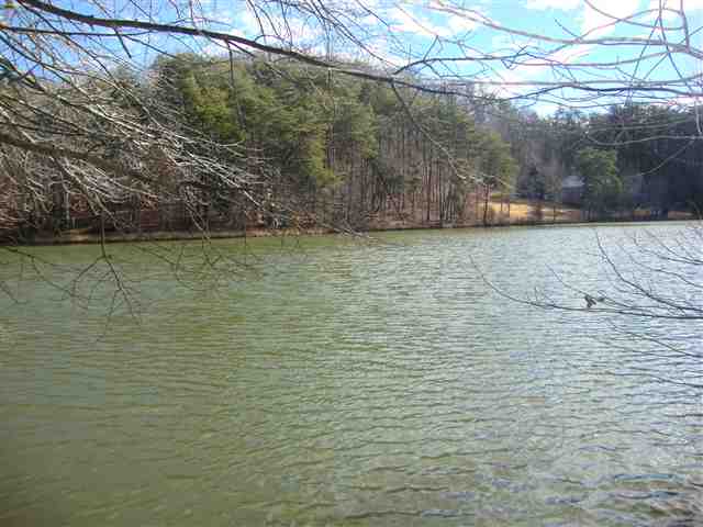 0 Springlake Road Six Mile, SC 29682 - Photo 16 of 22 Gallery Image 16