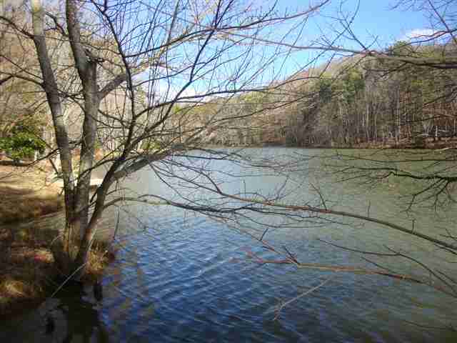 0 Springlake Road Six Mile, SC 29682 - Photo 17 of 22 Gallery Image 17