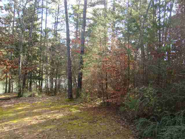 0 Springlake Road Six Mile, SC 29682 - Photo 18 of 22 Gallery Image 18