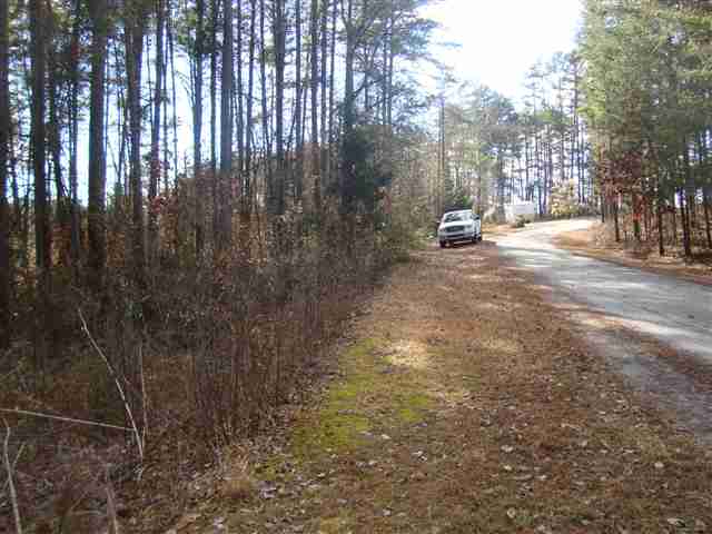 0 Springlake Road Six Mile, SC 29682 - Photo 3 of 22 Gallery Image 3