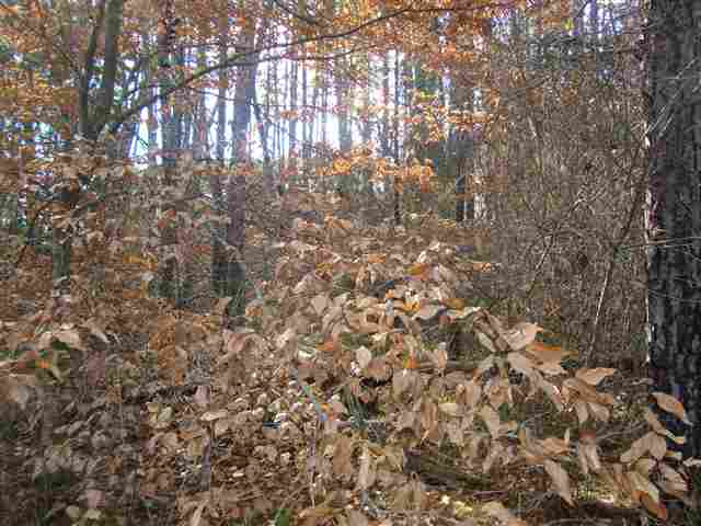 0 Springlake Road Six Mile, SC 29682 - Photo 4 of 22 Gallery Image 4
