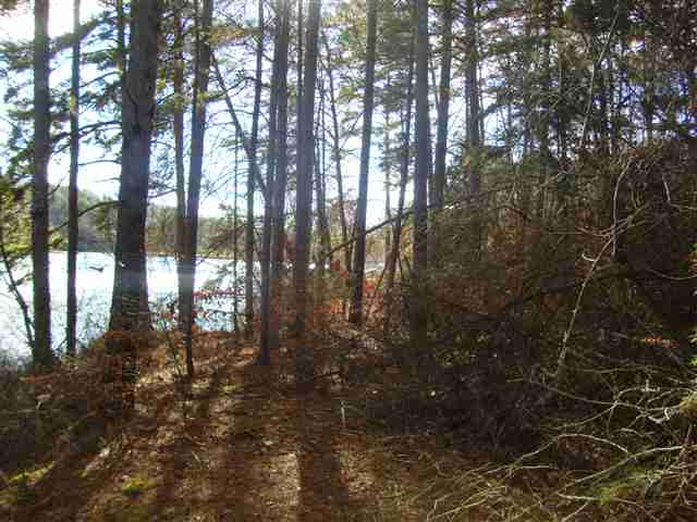 0 Springlake Road Six Mile, SC 29682 - Photo 6 of 22 Gallery Image 6