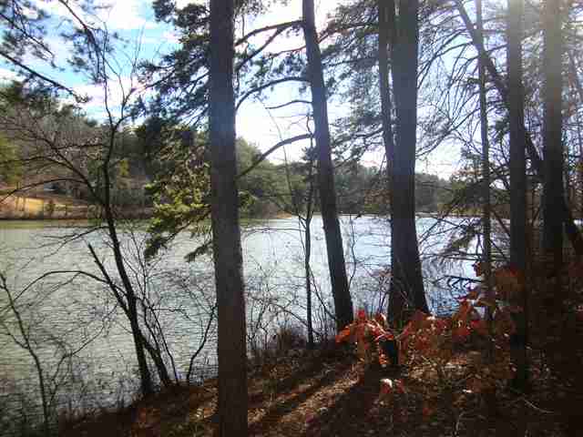 0 Springlake Road Six Mile, SC 29682 - Photo 8 of 22 Gallery Image 8