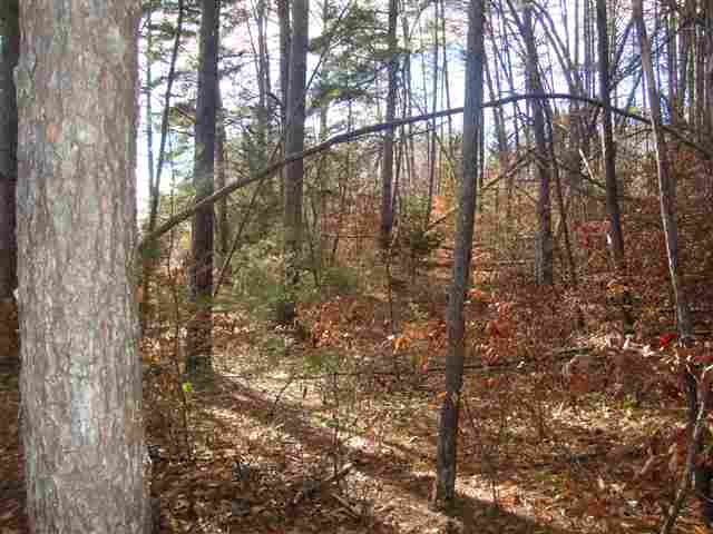 0 Springlake Road Six Mile, SC 29682 - Photo 9 of 22 Gallery Image 9