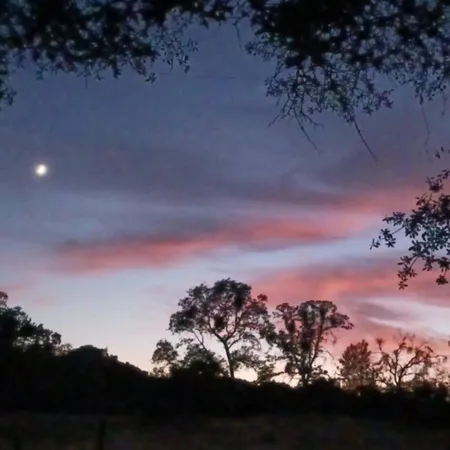 $319,000 | 33831 Medford Road, Auberry, CA 93602