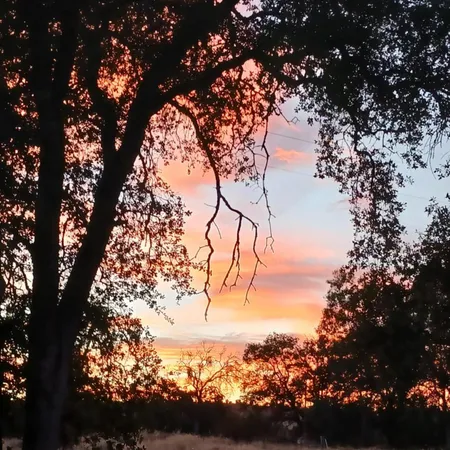 $319,000 | 33831 Medford Road, Auberry, CA 93602