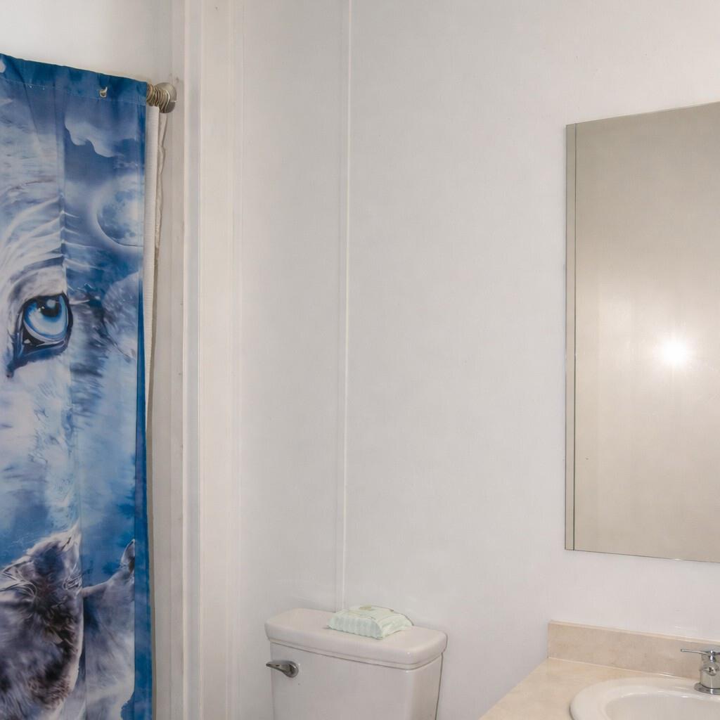 33831 Medford Road Auberry, CA 93602 - Photo 21 of 35 a white toilet sitting next to a shower