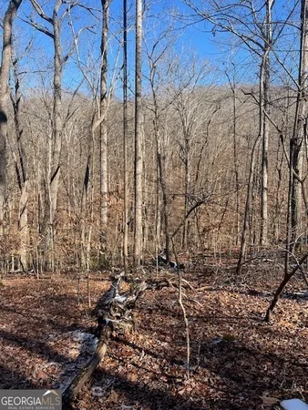 $8,000 | Lot 2171 North Sundew, Westminster, SC 29693