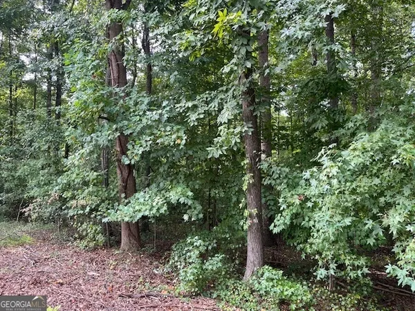 $8,000 | Lot 2171 North Sundew, Westminster, SC 29693