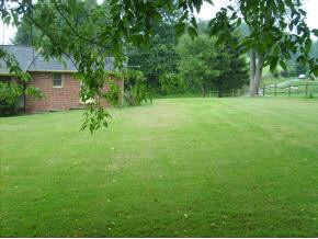 1158 Highway 321 Hampton, TN 37658 - Photo 8 of 9 Photo 8