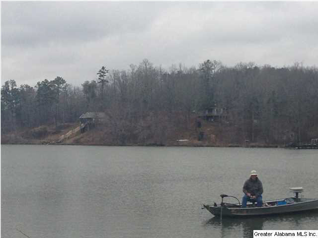 Lot 1 Lakeview Drive, Unit 1 Oneonta, AL 35121 - Photo 3 of 3