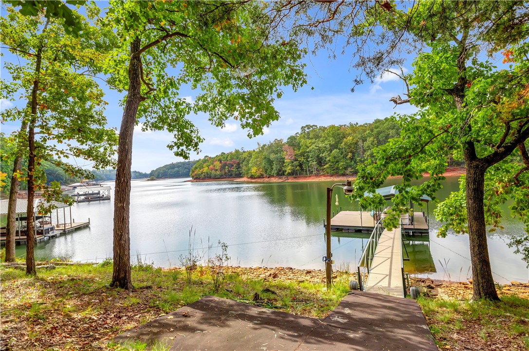 1011 Arrowhead Point Anderson, SC 29625 - Photo 46 of 50