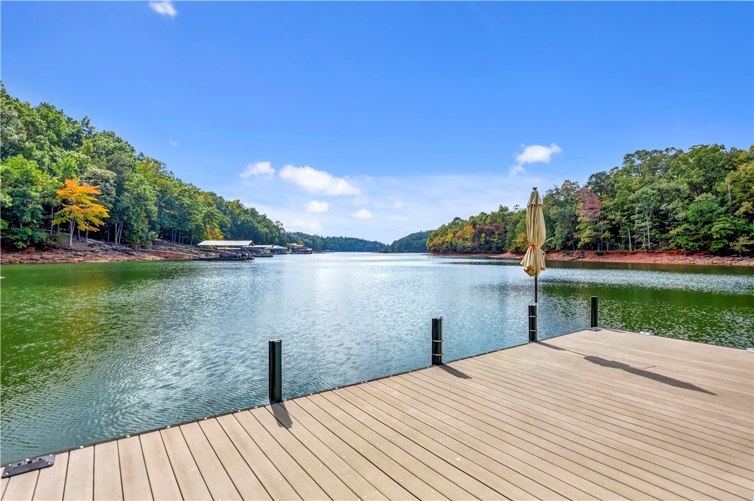 1011 Arrowhead Point Anderson, SC 29625 - Photo 47 of 50