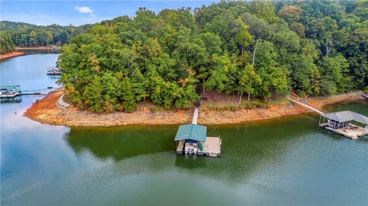 1011 Arrowhead Point Anderson, SC 29625 - Photo 48 of 50