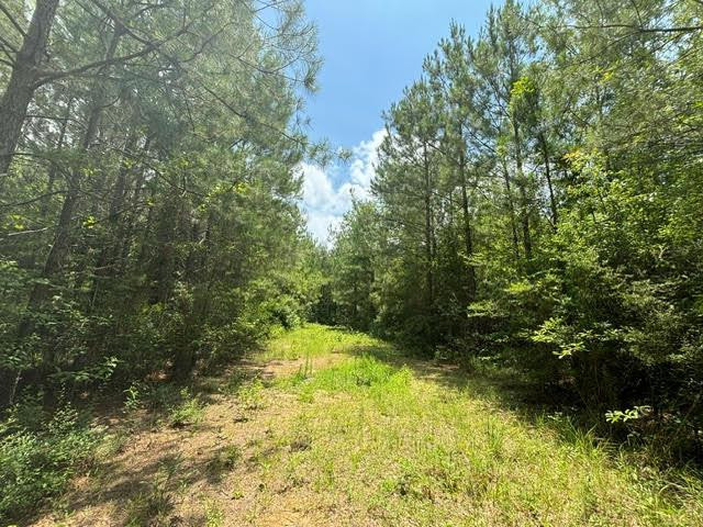 0 East Lewiston Road Kentwood, LA 70444 - Photo 18 of 26 Photo 19