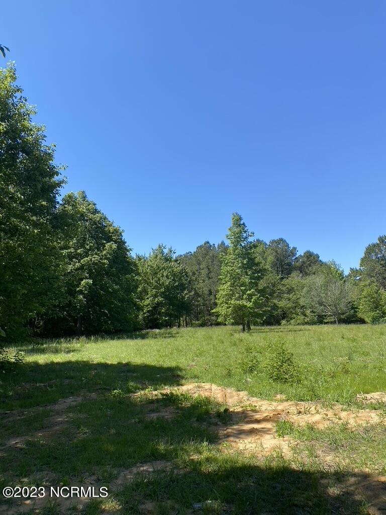 837 Jesse Moore Road Ivanhoe, NC 28447 - Photo 14 of 15 6F144FCD-25FC-4CDD-A8EE-B4CDC81684F5_1_1