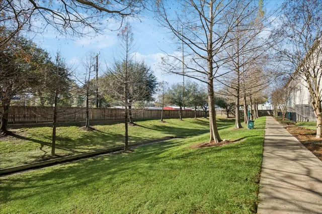 a view of a park with large trees