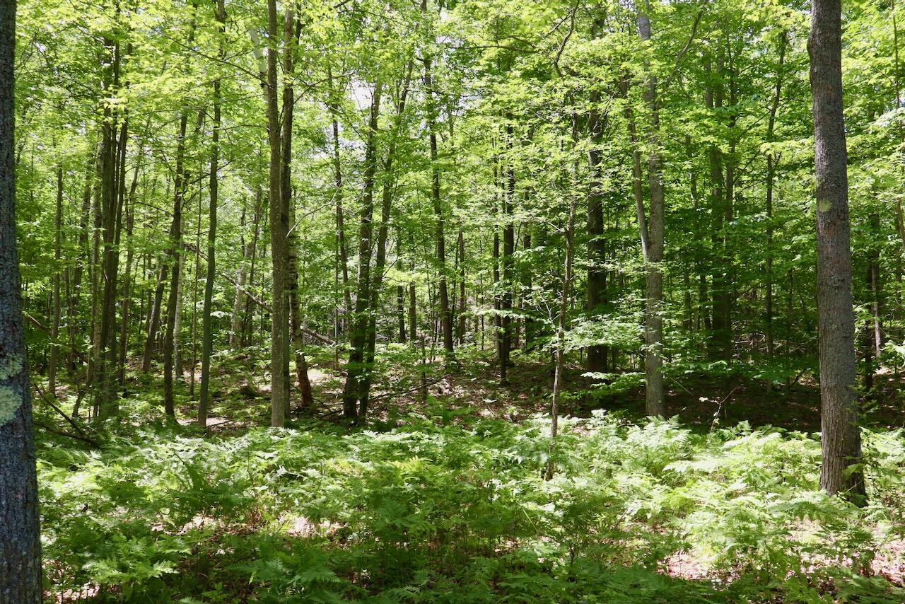 6182 Hamilton Road Harrison, MI 48625 - Photo 10 of 77