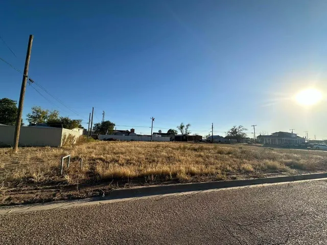 $2,950 | 216 West Lake Street, Brownfield, TX 79316