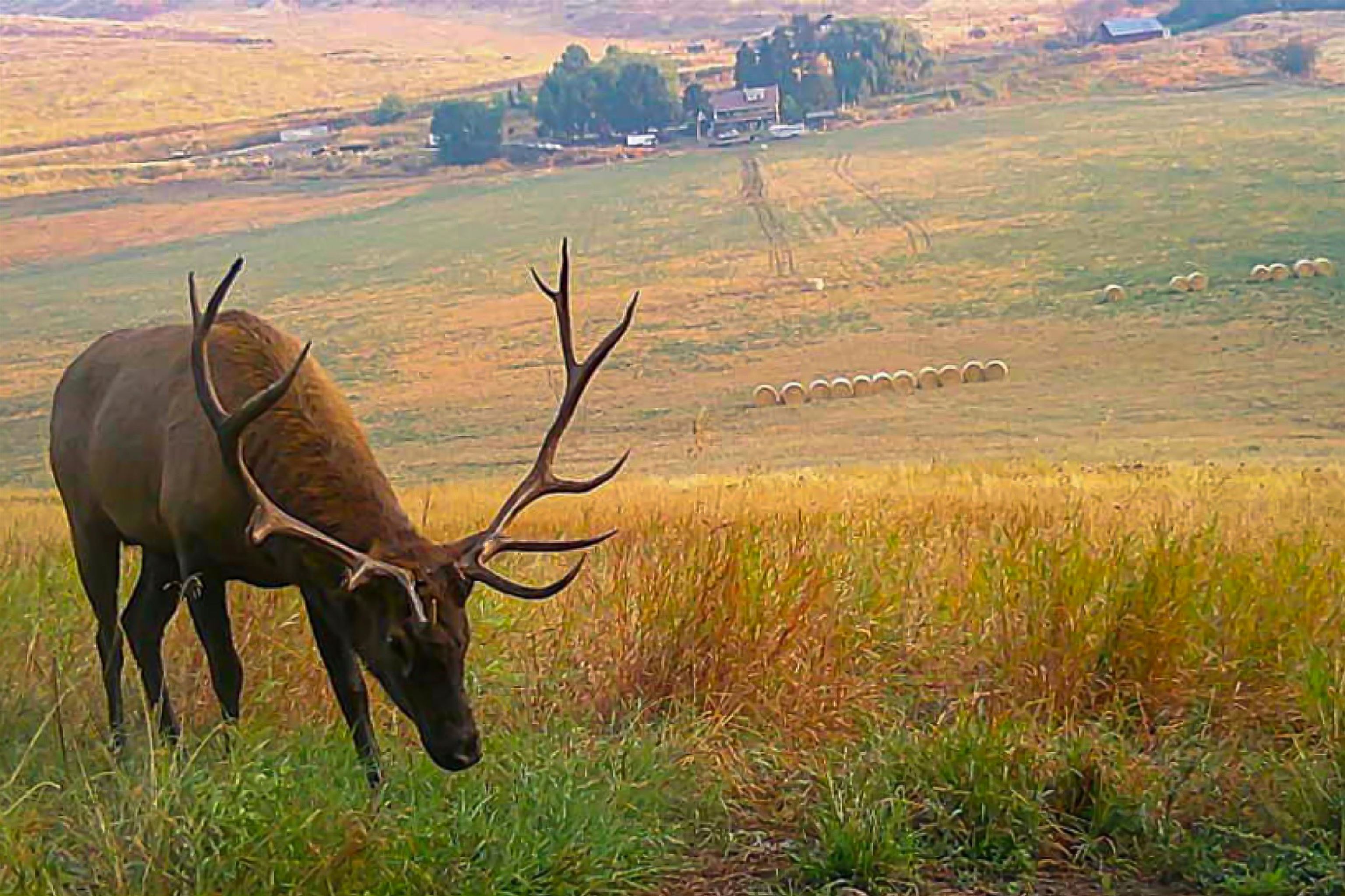 2694 Bridgeman-Rettinger Road Kettle Falls, WA 99141 - Photo 27 of 31