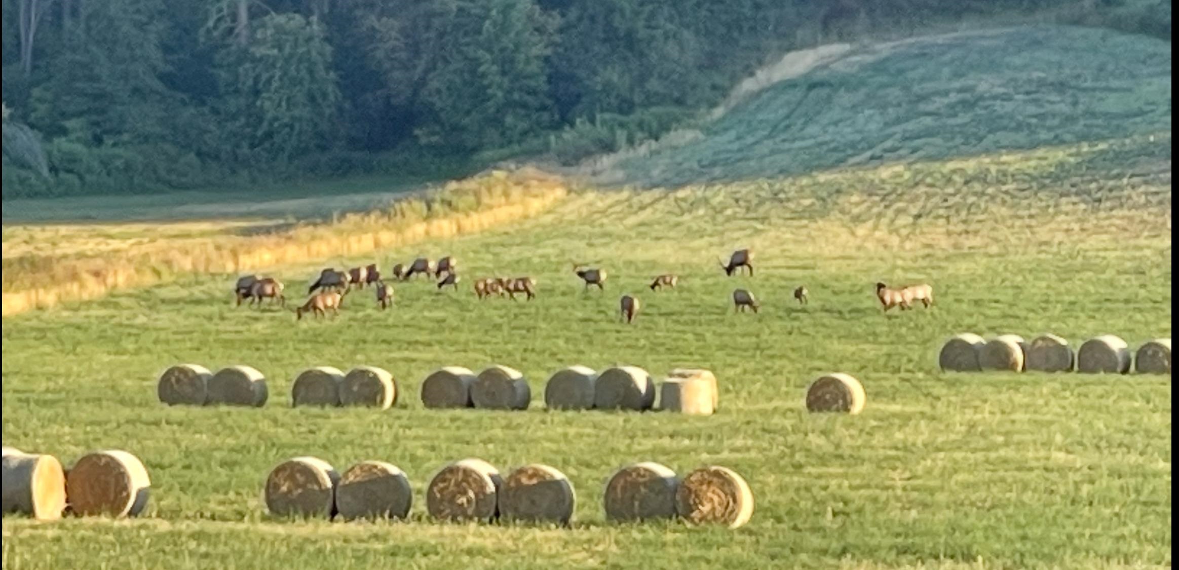 2694 Bridgeman-Rettinger Road Kettle Falls, WA 99141 - Photo 29 of 31
