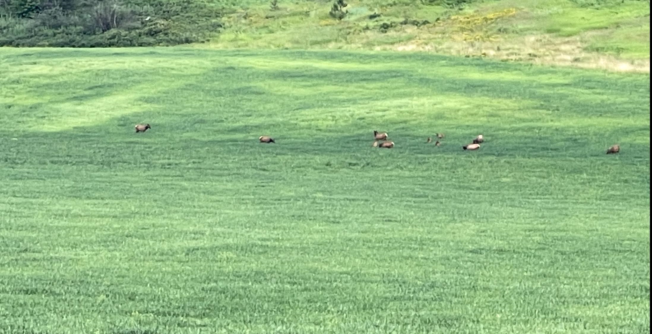 2694 Bridgeman-Rettinger Road Kettle Falls, WA 99141 - Photo 30 of 31