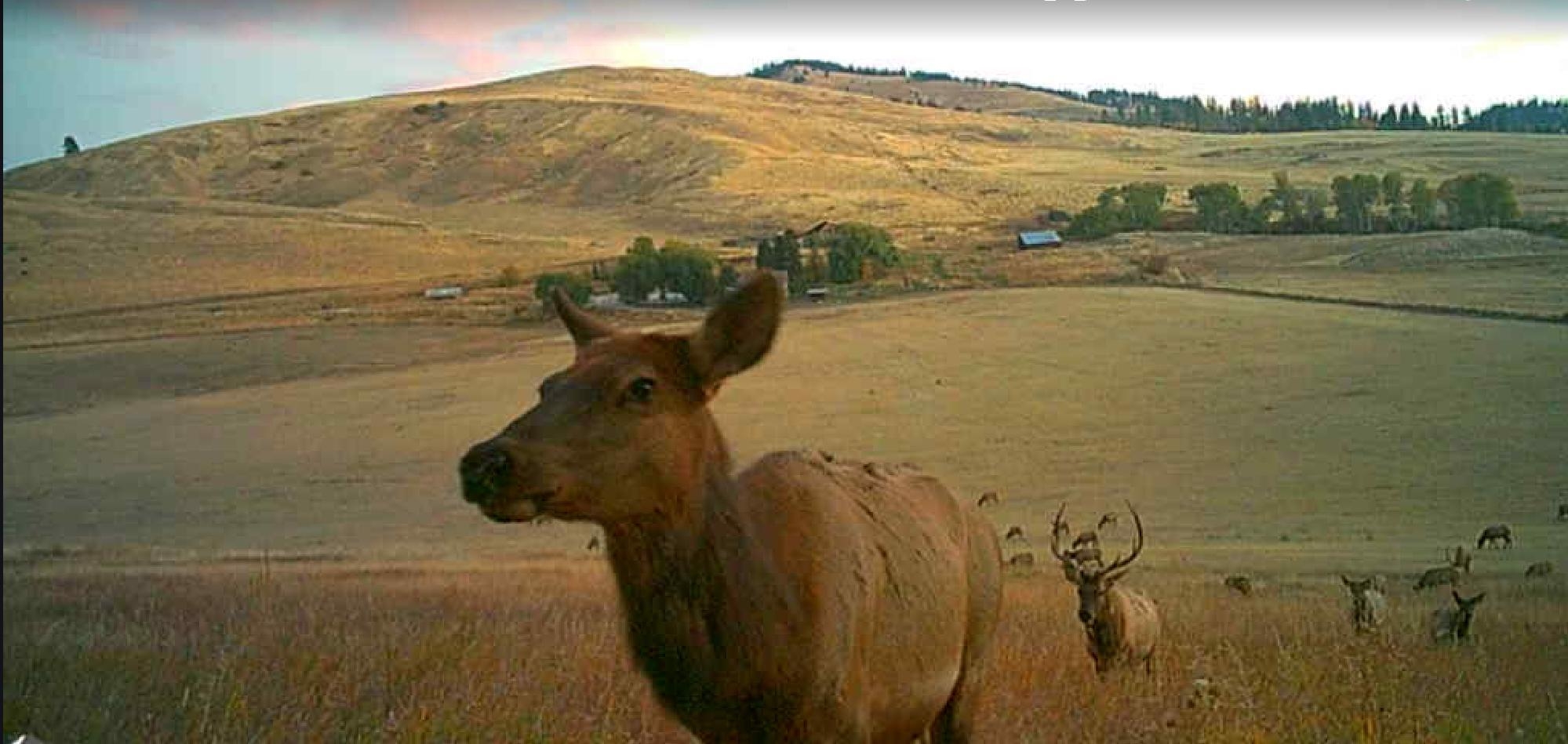 2694 Bridgeman-Rettinger Road Kettle Falls, WA 99141 - Photo 31 of 31
