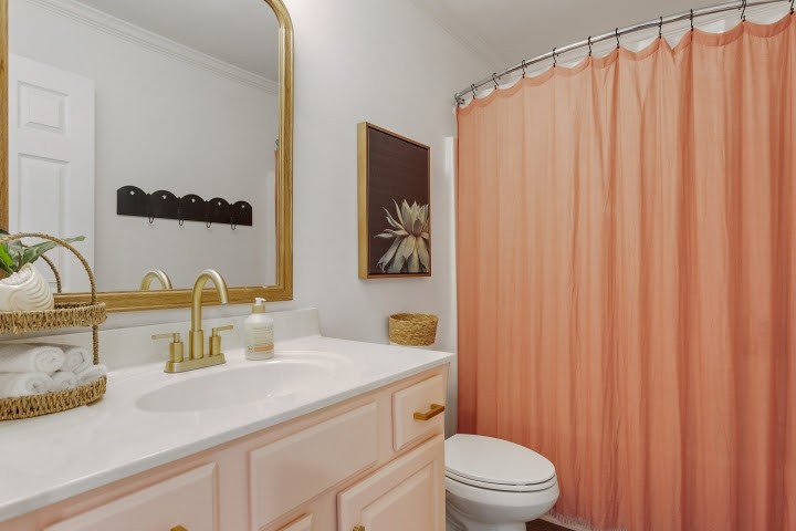 2010 Birch Lane Spring Hill, TN 37174 - Photo 22 of 47 a bathroom with a granite countertop sink and a mirror