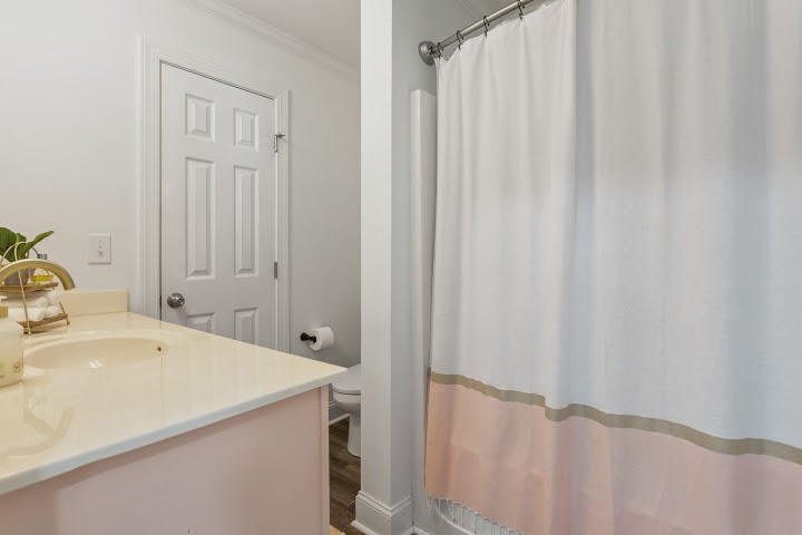 2010 Birch Lane Spring Hill, TN 37174 - Photo 25 of 47 a bathroom with a sink and a shower curtain
