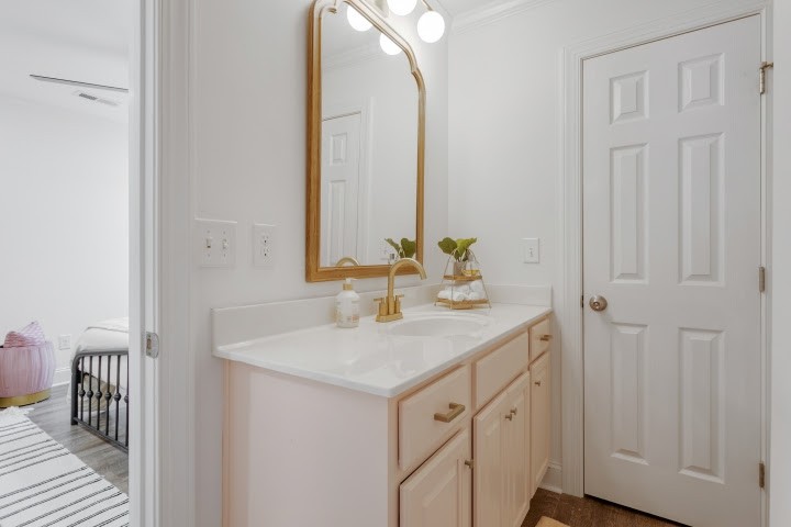 2010 Birch Lane Spring Hill, TN 37174 - Photo 26 of 47 a bathroom with a sink and a mirror