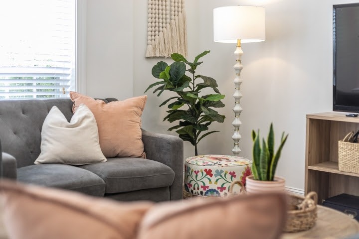 2010 Birch Lane Spring Hill, TN 37174 - Photo 33 of 47 a living room with furniture flowerpot and a window