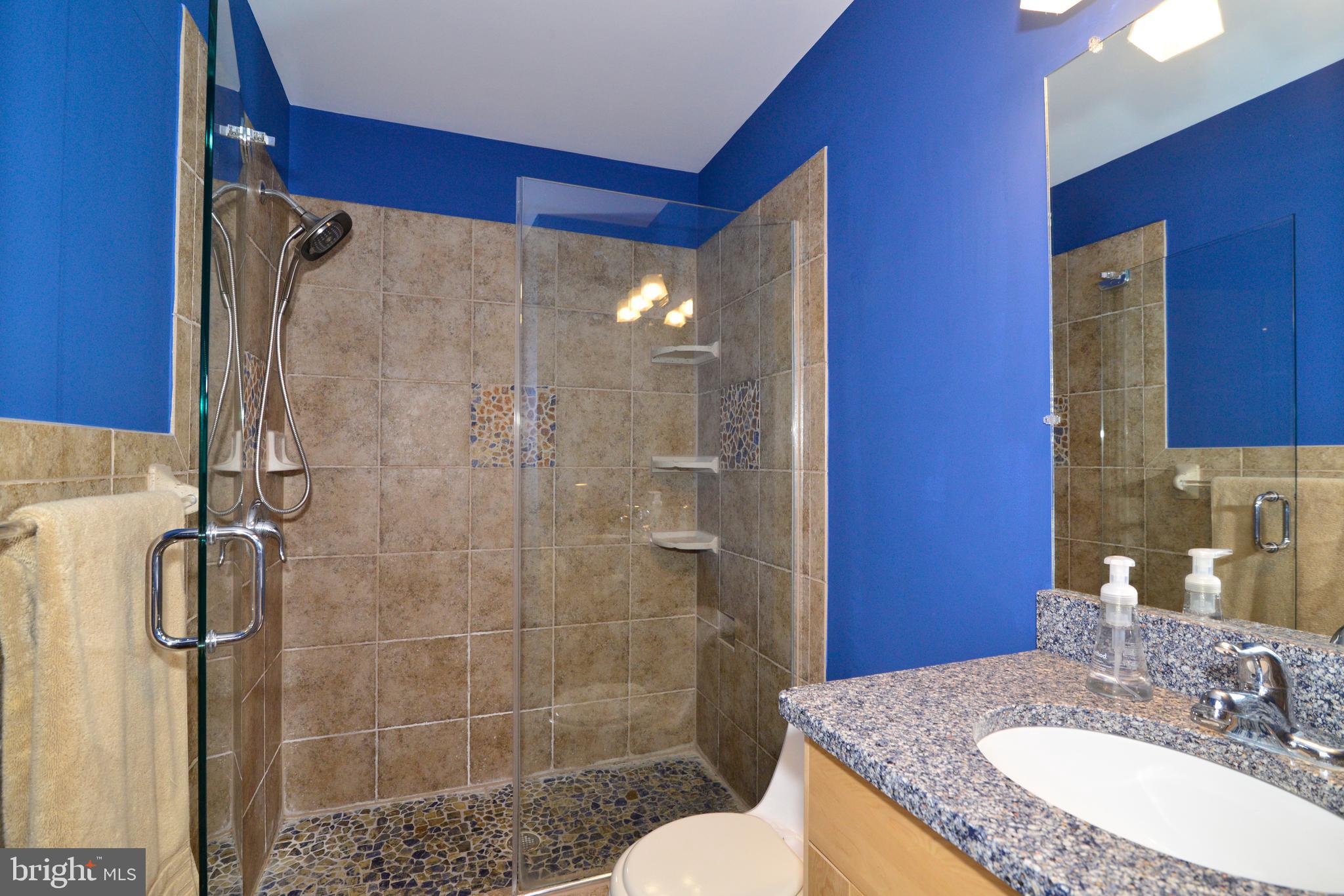 2268 Cedar Cove Court Reston, VA 20191 - Photo 22 of 41 The owner's suite bath has an upgraded tile shower