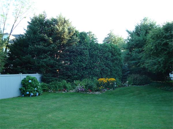 161 Forest Street Wellesley, MA 02481 - Photo 17 of 19