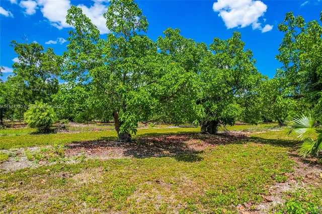 a view of a big yard with swimming pool and green space