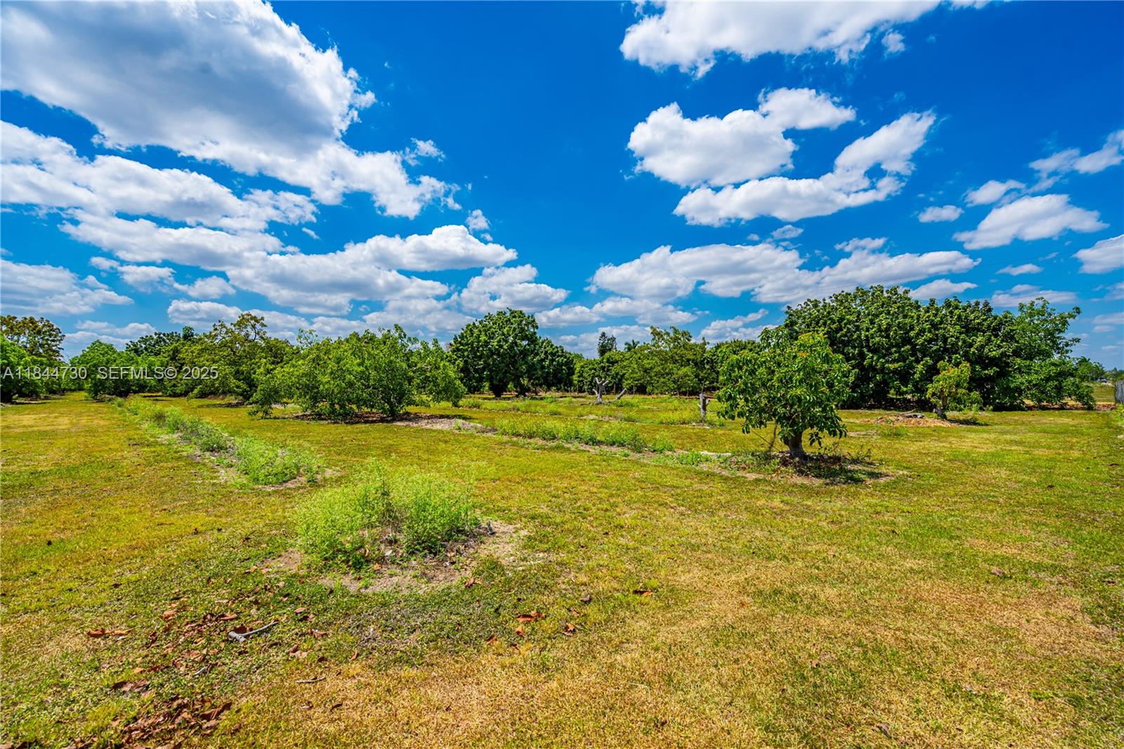 254-xx Southwest 217ave Homestead, FL 33031 - Photo 15 of 23 a view of a lake view
