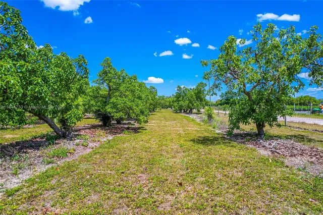 a view of a yard with an tree