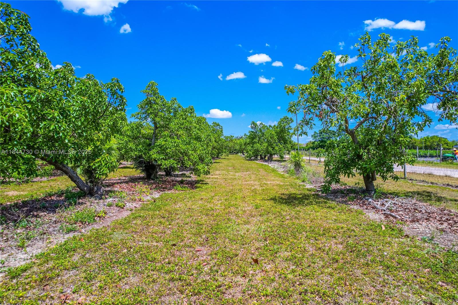 254-xx Southwest 217ave Homestead, FL 33031 - Photo 16 of 23 a view of yard with green space