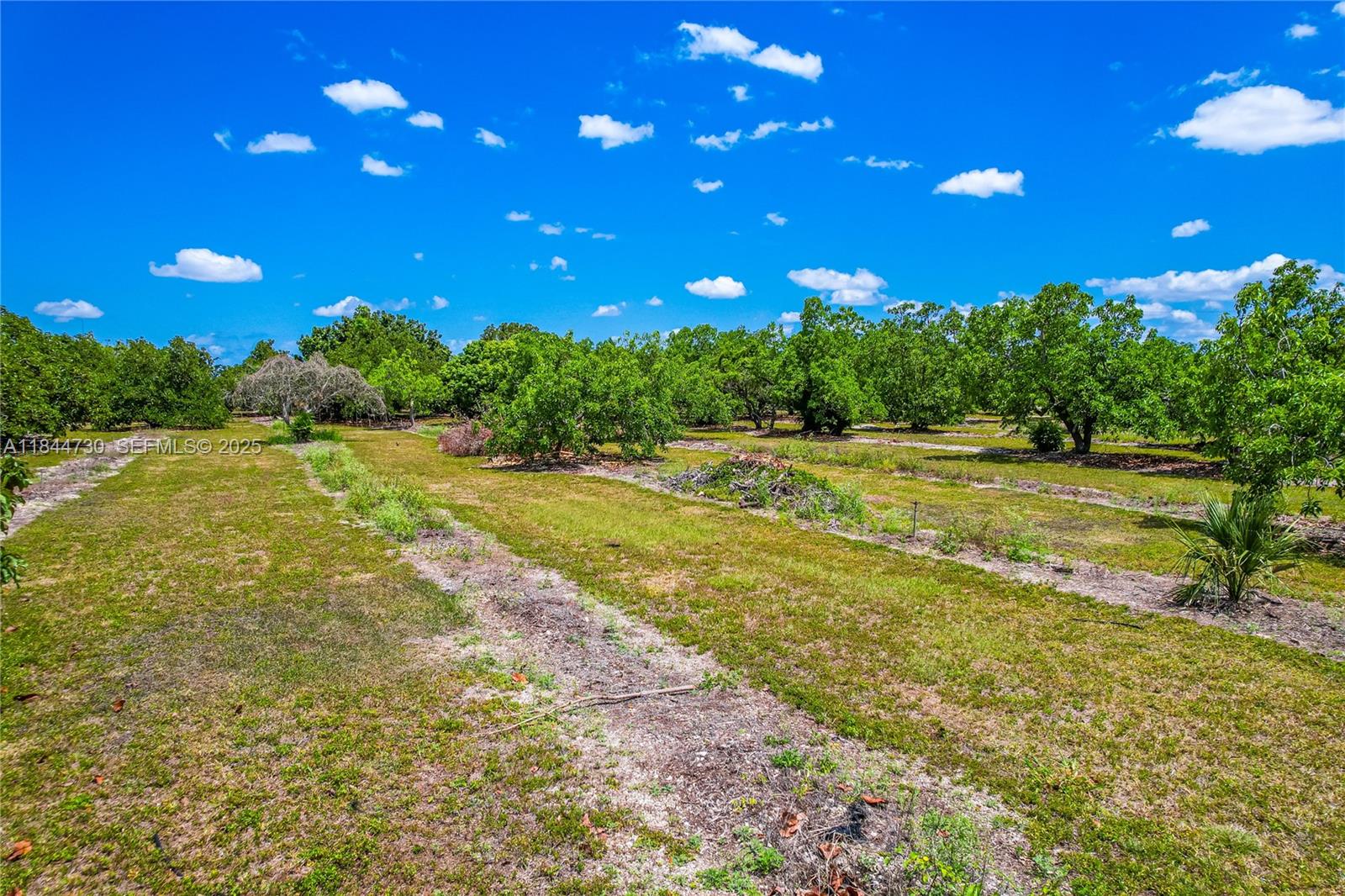 254-xx Southwest 217ave Homestead, FL 33031 - Photo 17 of 23