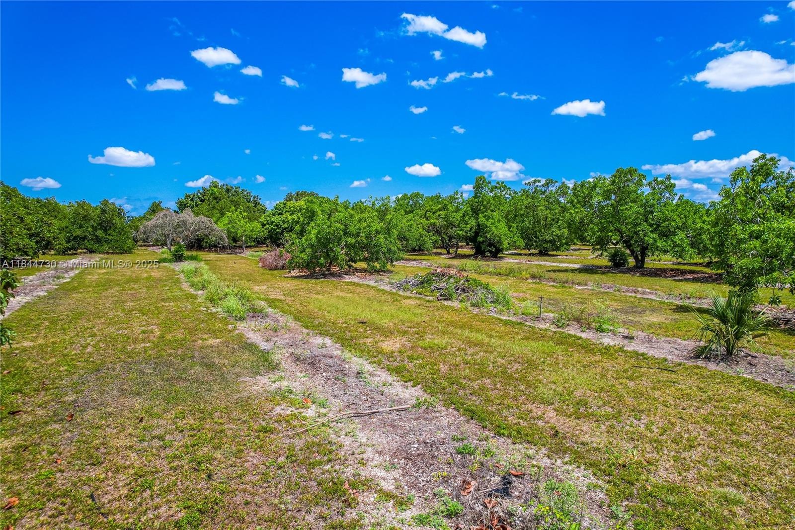 254-xx Southwest 217ave Homestead, FL 33031 - Photo 17 of 23