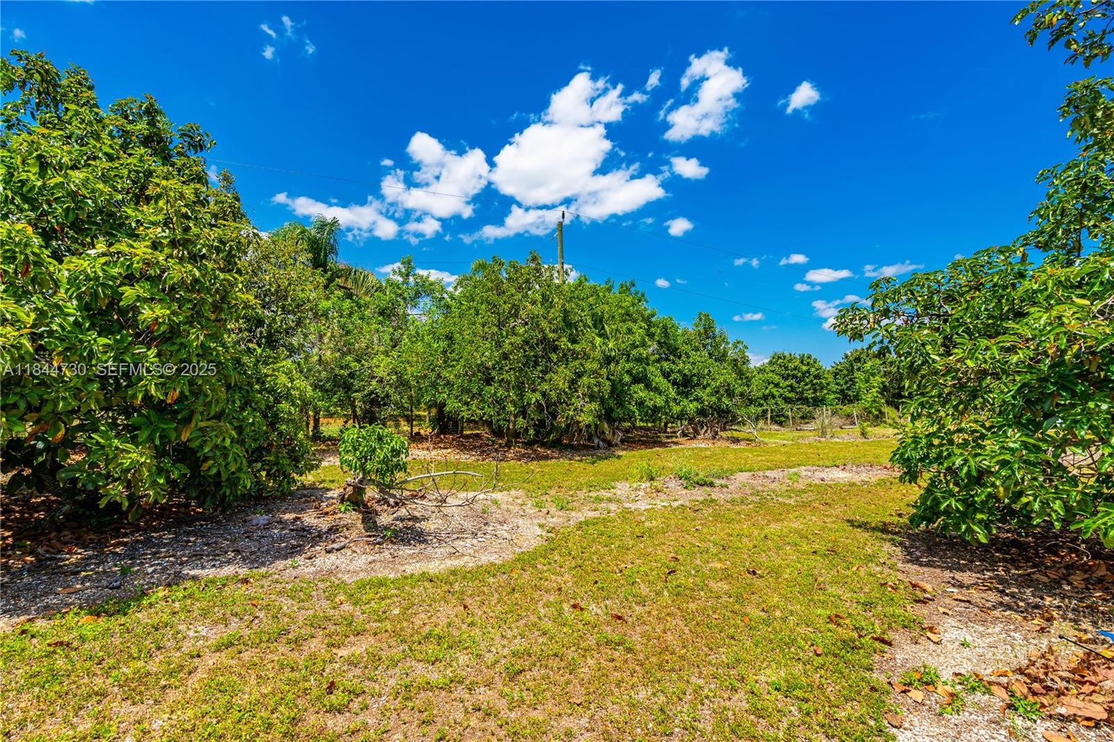 254-xx Southwest 217ave Homestead, FL 33031 - Photo 19 of 23 a view of a yard with yellow house