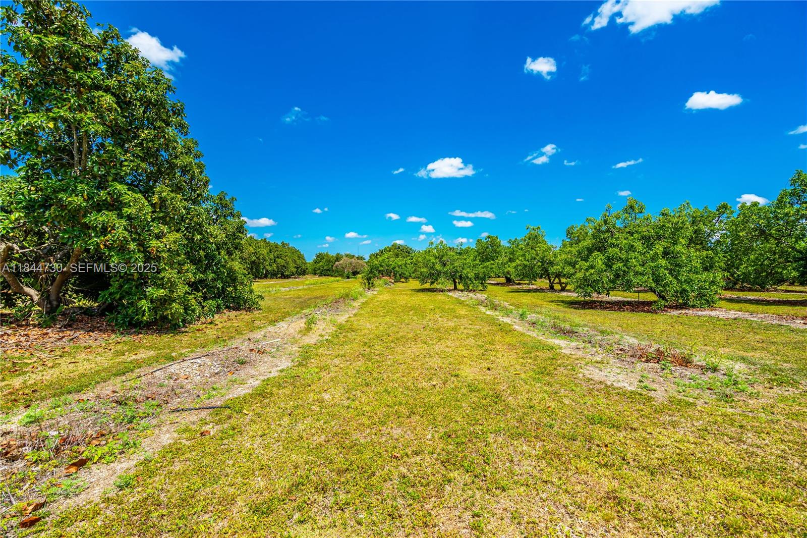 254-xx Southwest 217ave Homestead, FL 33031 - Photo 20 of 23 a view of an outdoor space and swimming pool