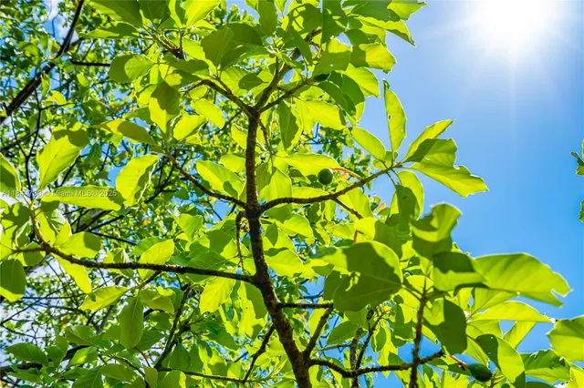 $545,000 | 254-xx Southwest 217ave, Homestead, FL 33031