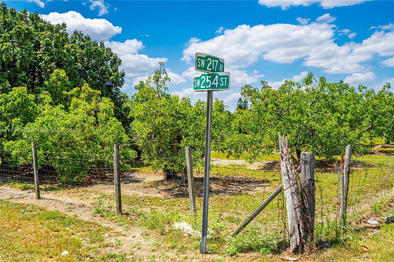 254-xx Southwest 217ave Homestead, FL 33031 - Photo 23 of 23 a view of a backyard