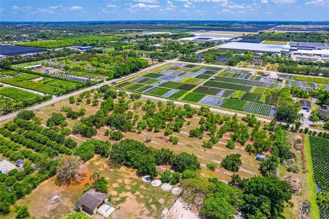 a view of a yard with plants and a fountain