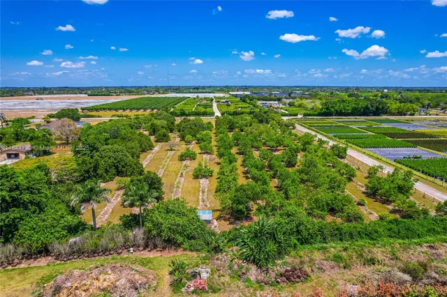 a view of a small yard