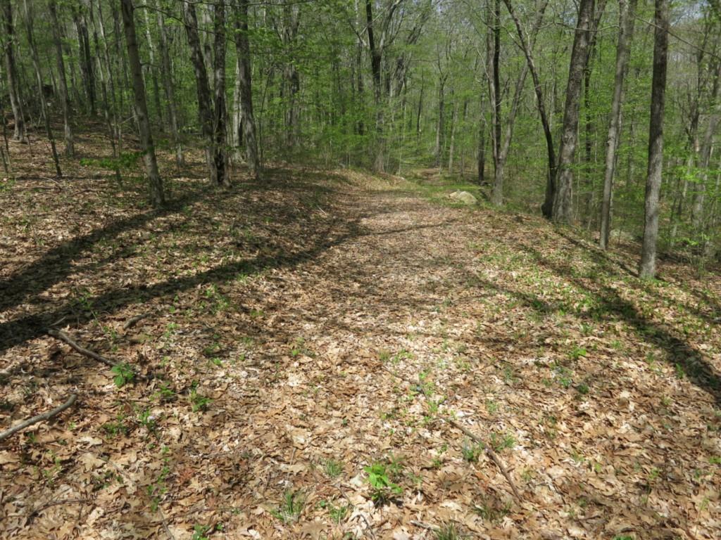 10 B Flatbrook Road East Hampton, CT 06424 - Photo 1 of 1 Gallery Image 1