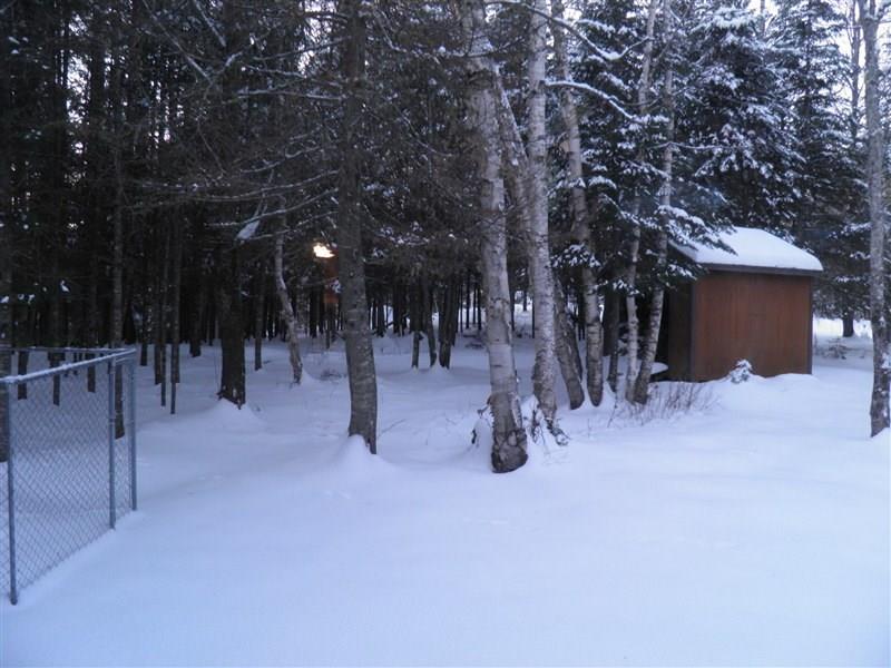 30 Dodge Pond Road Rangeley, ME 04970 - Photo 33 of 35 Just a peek of what the backyard has...