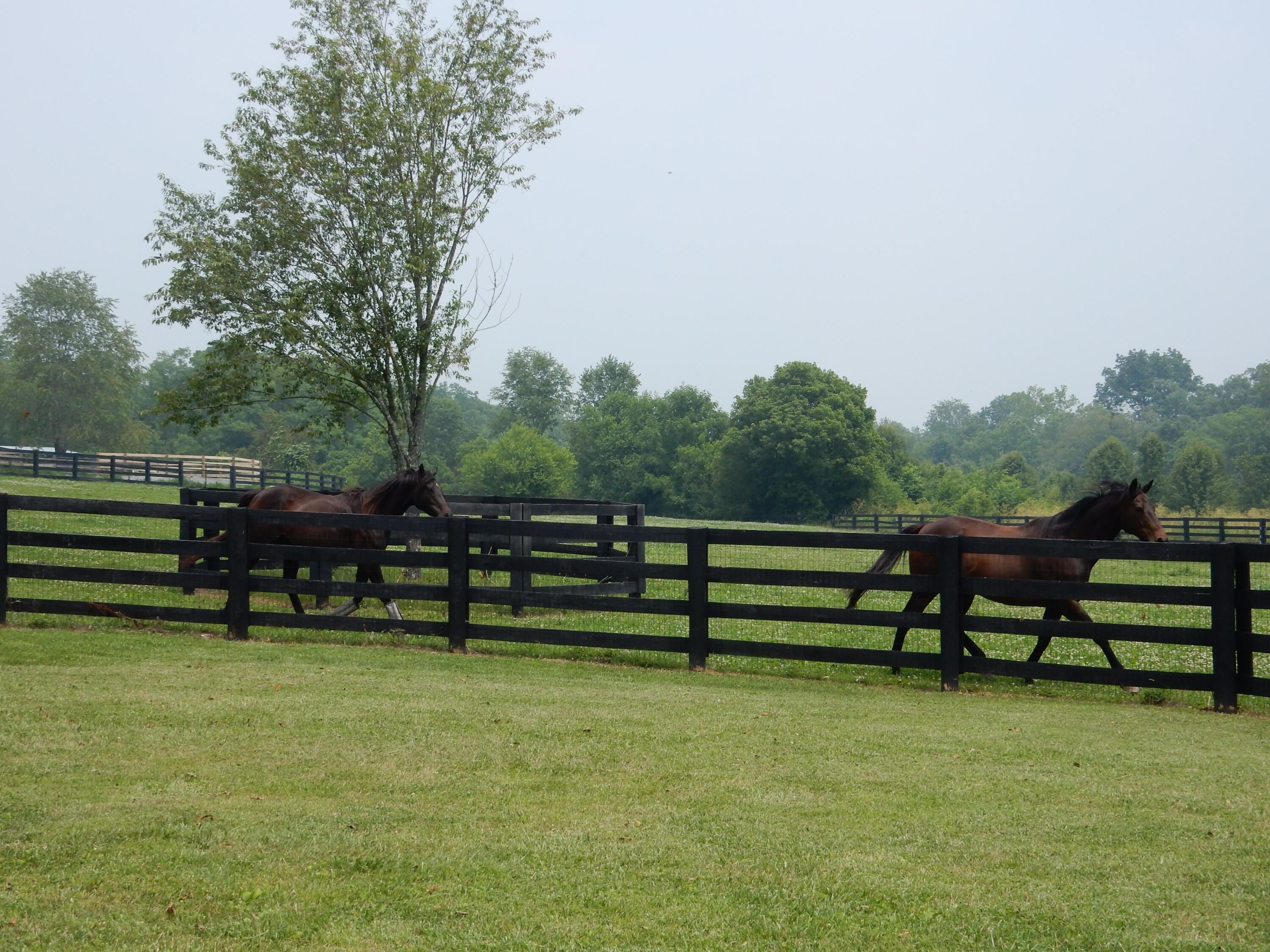 1370 Beaumont Road Nicholasville, KY 40356 - Photo 75 of 79 1370 Beaumont Road