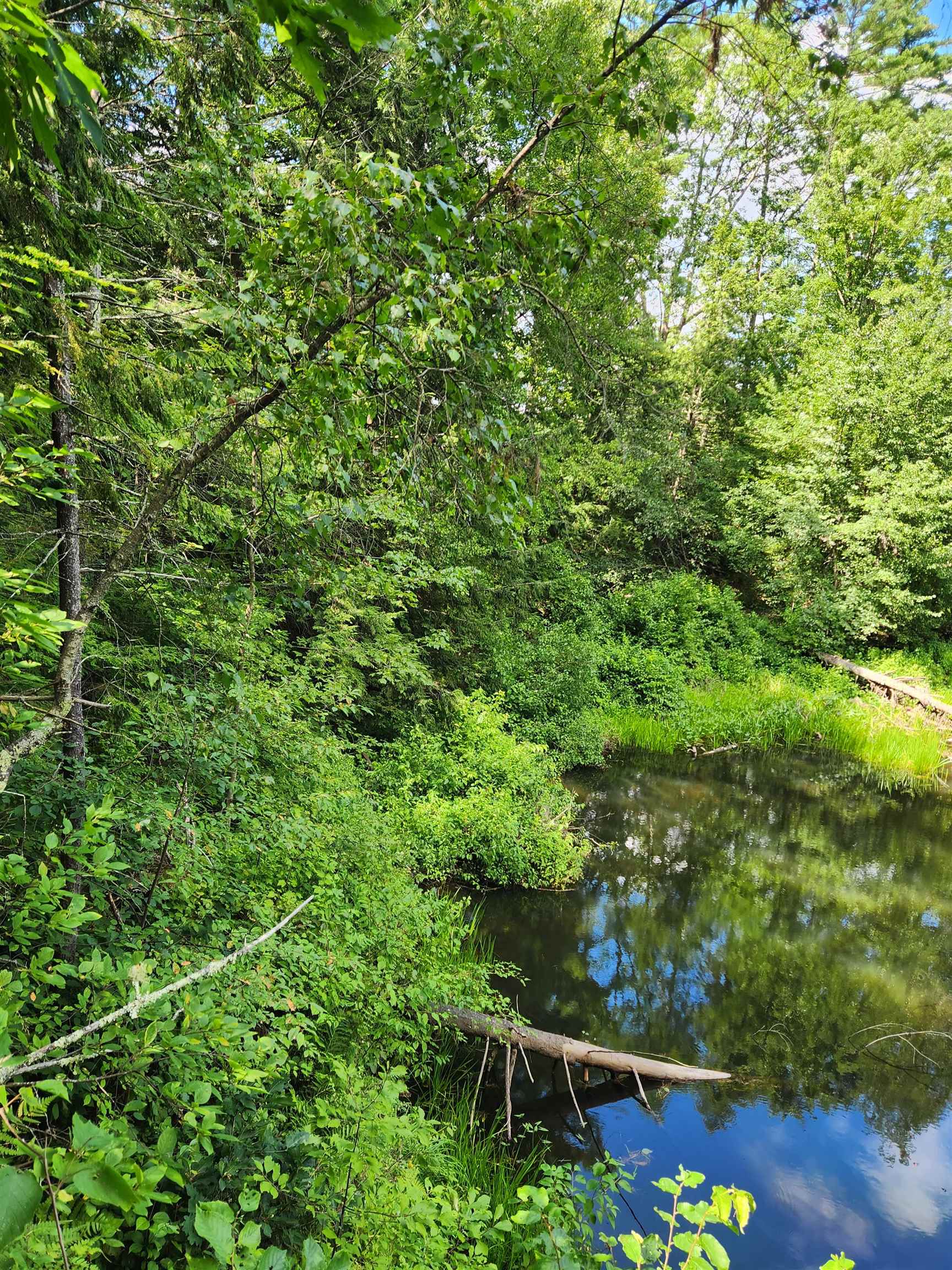 0 Wales Bridge Road Loudon, NH 03307 - Photo 11 of 14